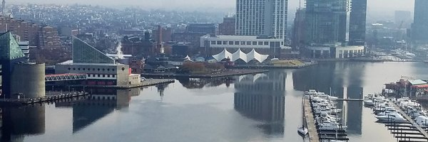 amylbernstein Profile Banner