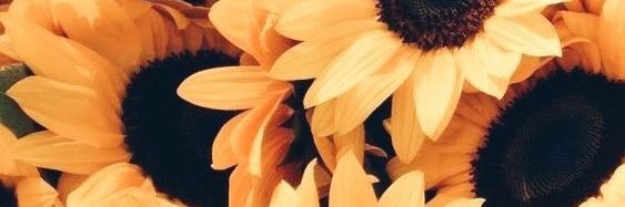 Chelseylee_'s profile banner image
