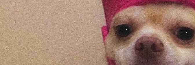 nikmhy's profile banner image