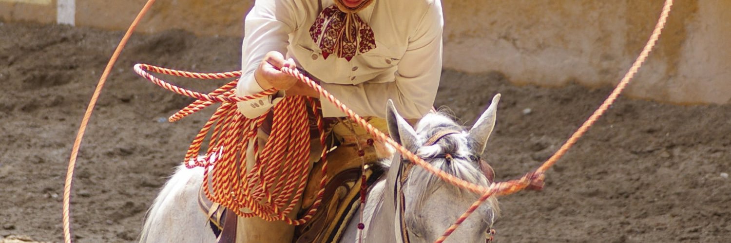 cesarserch's profile banner image