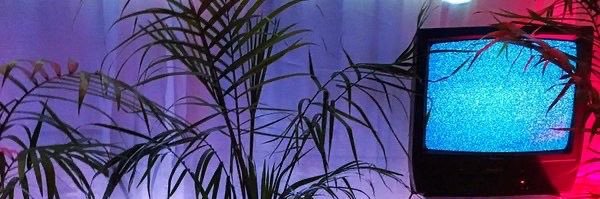tan mike banner