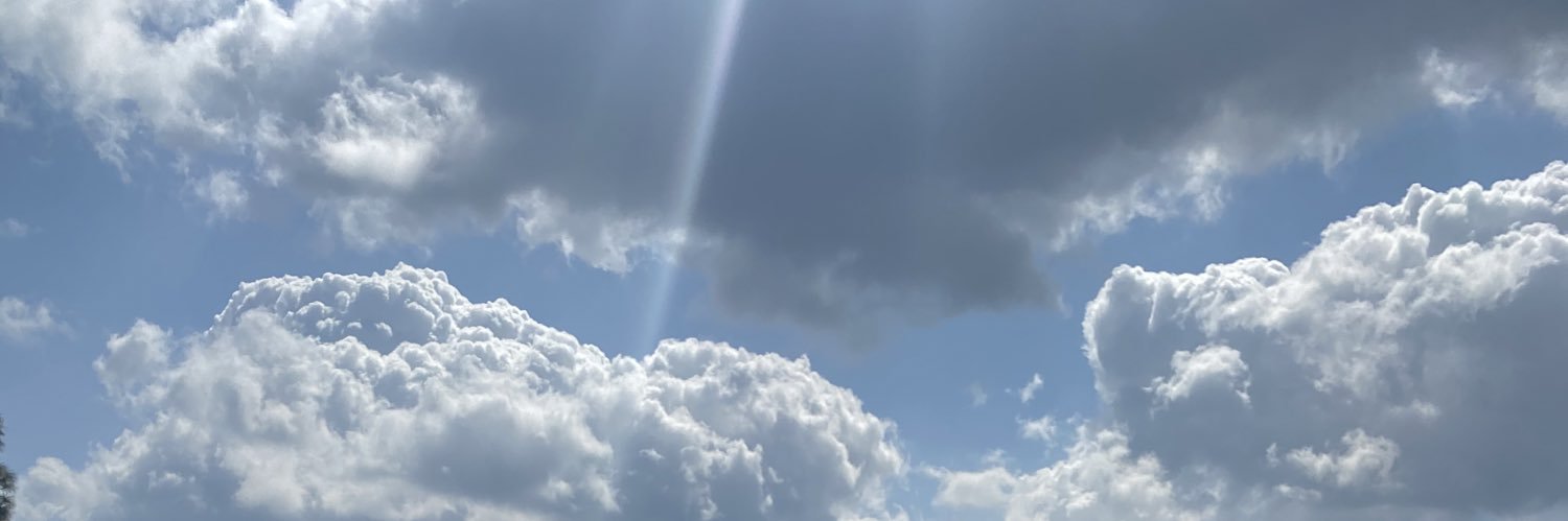NeekaYadegari's profile banner image