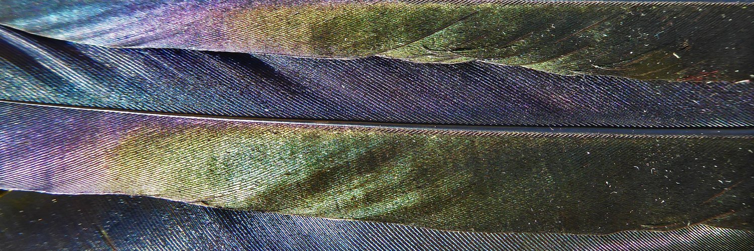 Akril15's profile banner image