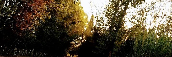 MarRoses13's profile banner image