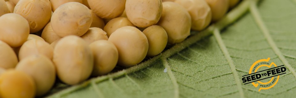 Genesis Feed Technologies banner