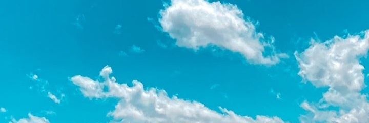 Larigou🍜 banner
