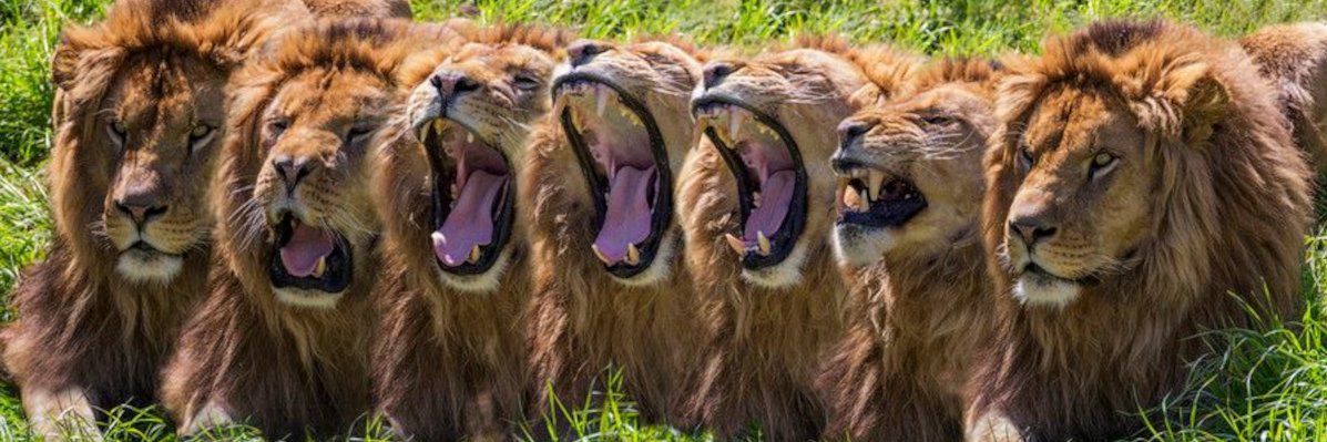 Perfin_Intl's profile banner image