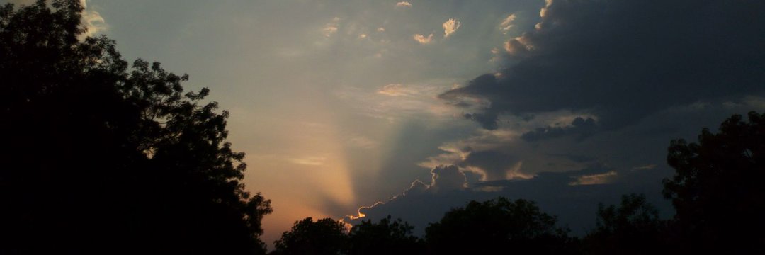 DeDribble_CFC banner