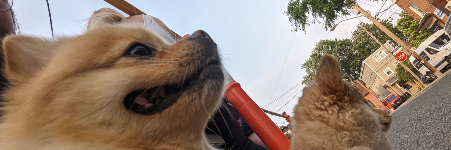 ChefTrebs's profile banner image
