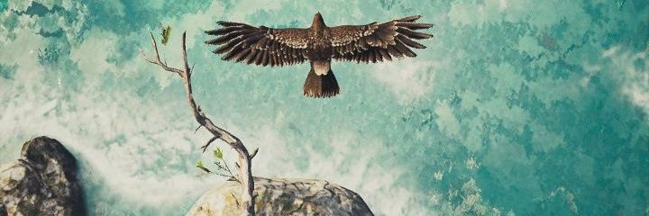 Ahmed3ta3's profile banner image