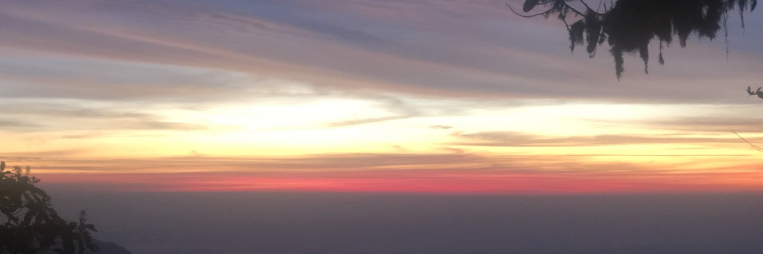 daniel_f_r_a's profile banner image