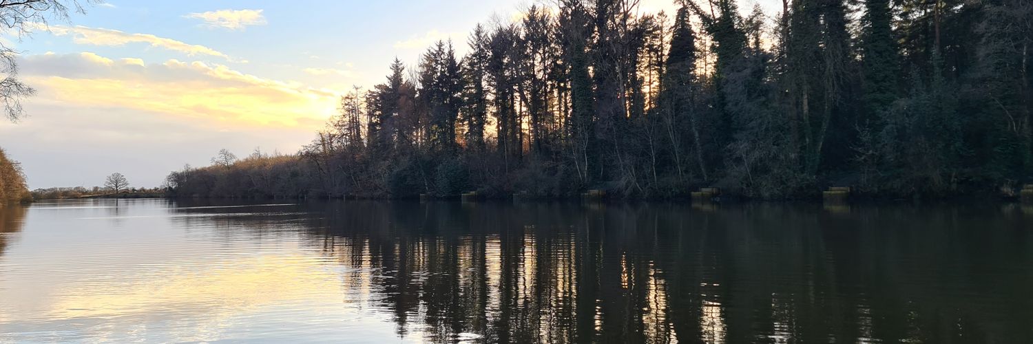 Ruth McDonald banner