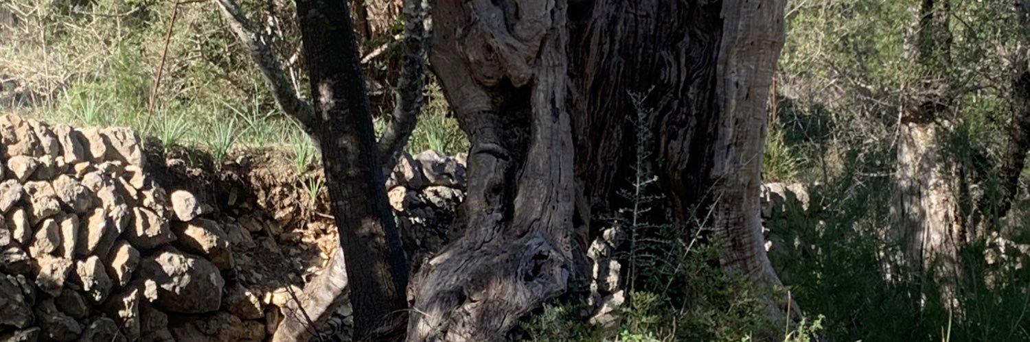 rosercos's profile banner image