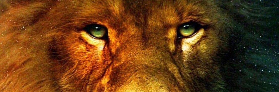 Ruff2production's profile banner image