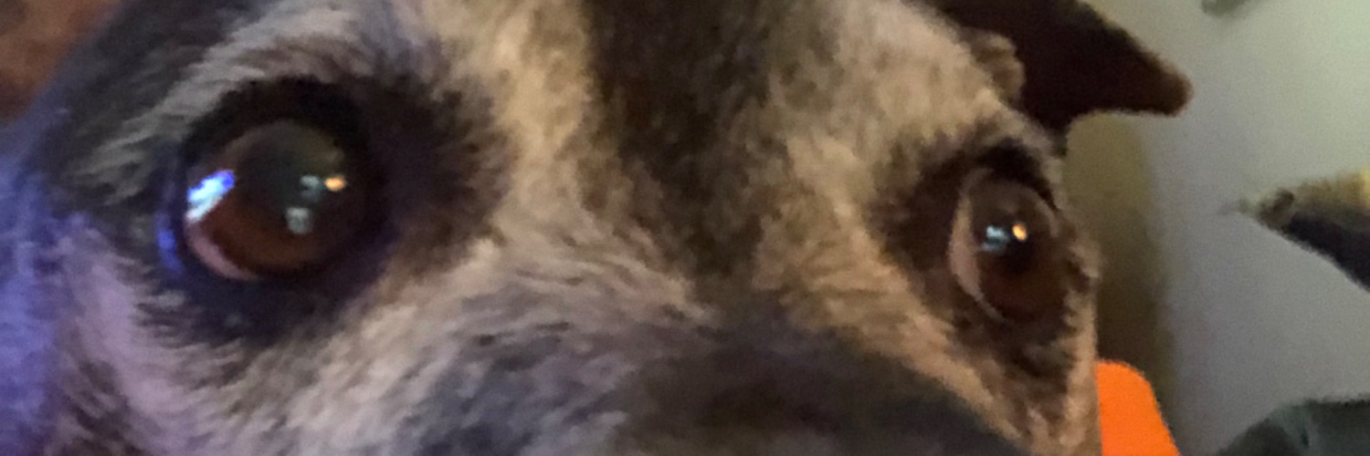 jlynnseriously's profile banner image