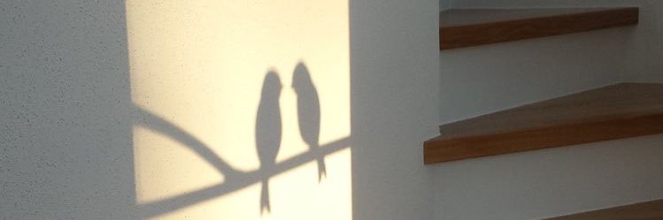 snapitztisca's profile banner image