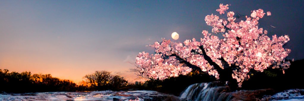 Johnnymudmuffin's profile banner image