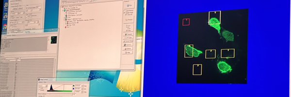 Cellphotochem Profile Banner