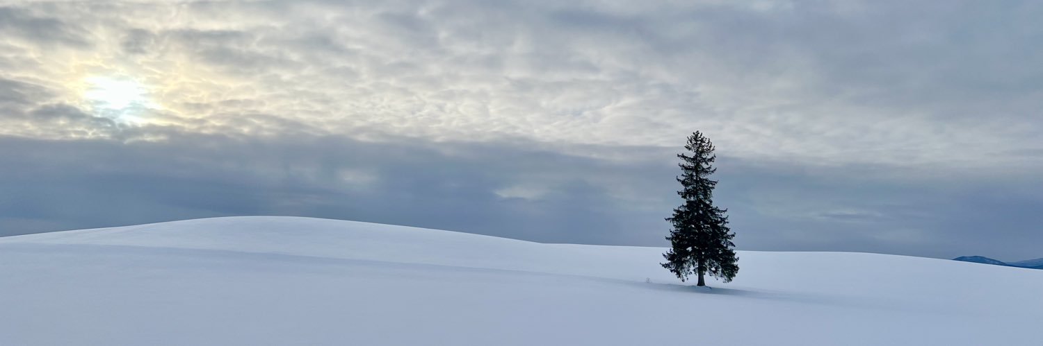 Fairily's profile banner image