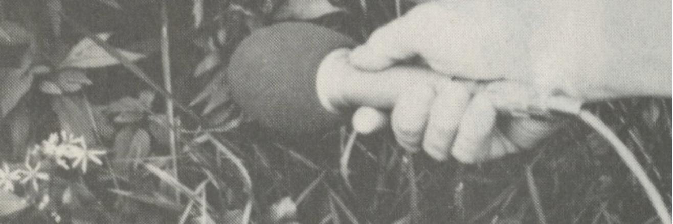 djHOLON's profile banner image