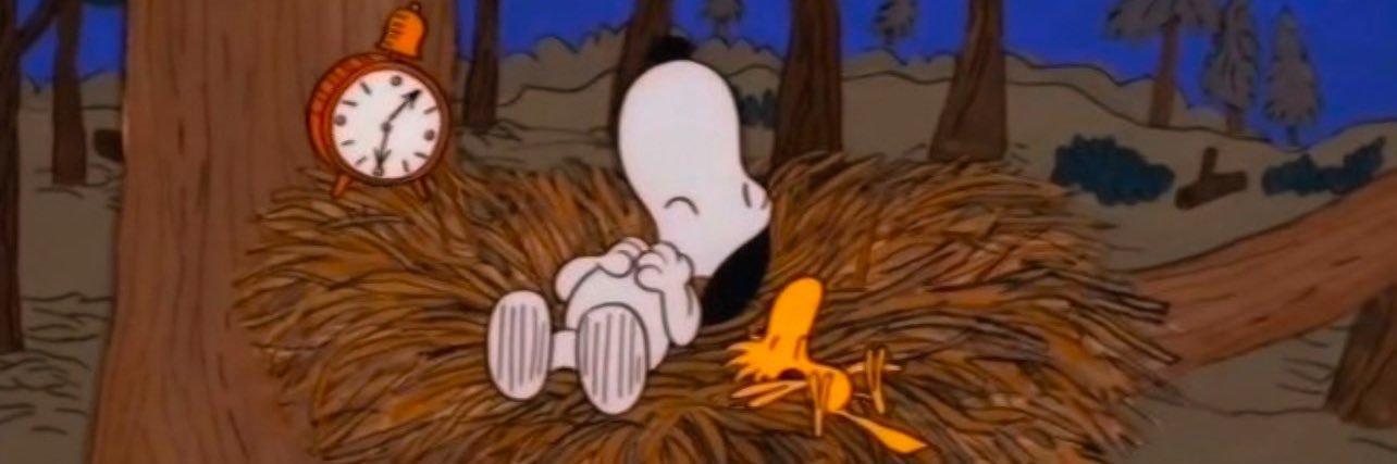 NapppyMane's profile banner image