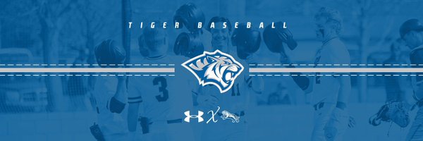 DWUBaseball Profile Banner