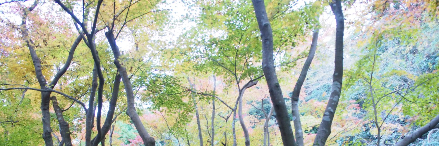 yupius's profile banner image