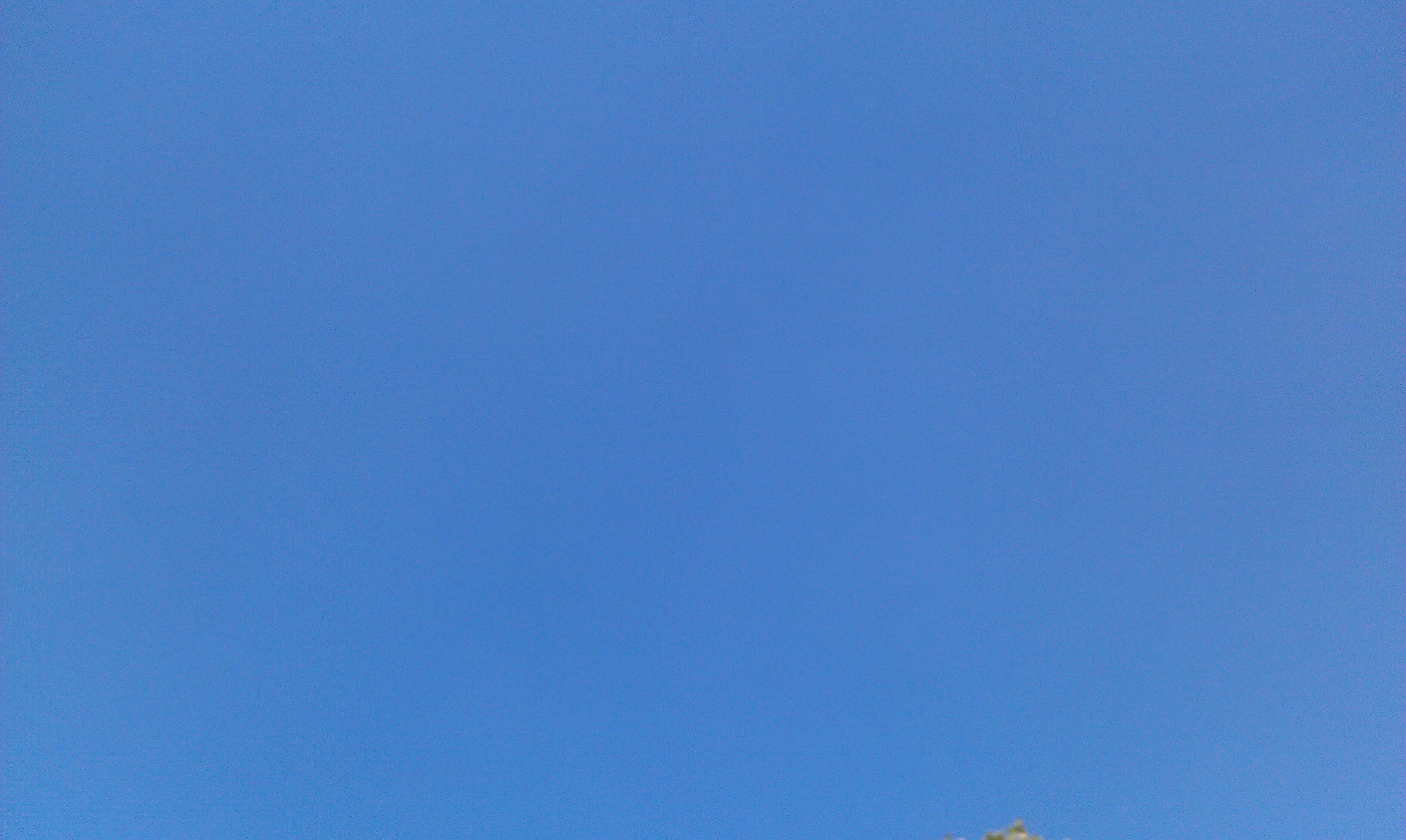 C. L. Provence banner