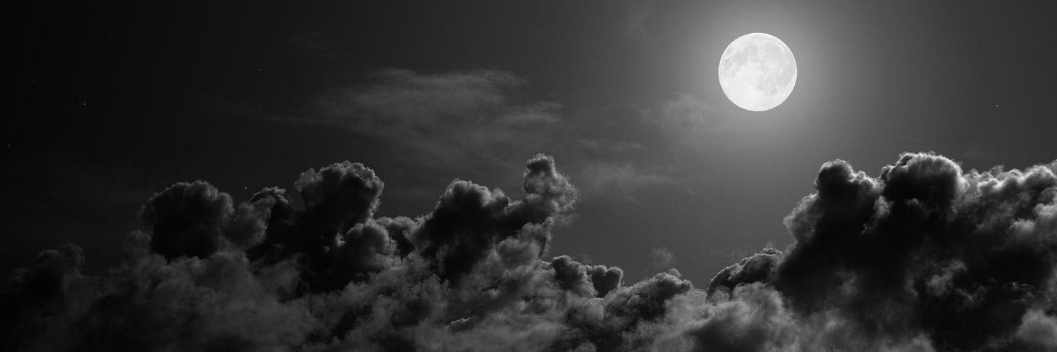 _xsrjdb's profile banner image