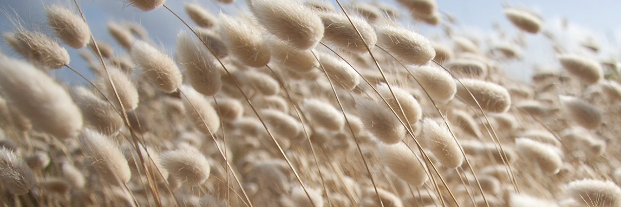 David Walker (Shorewalker DMS) 👣 banner