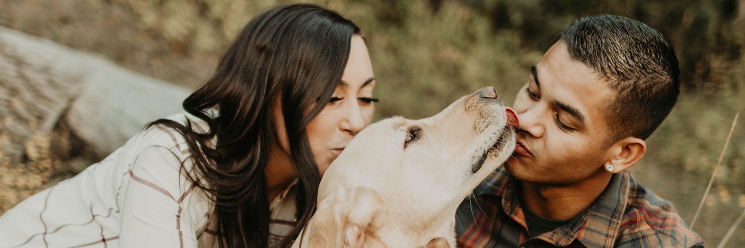 breeallissa's profile banner image