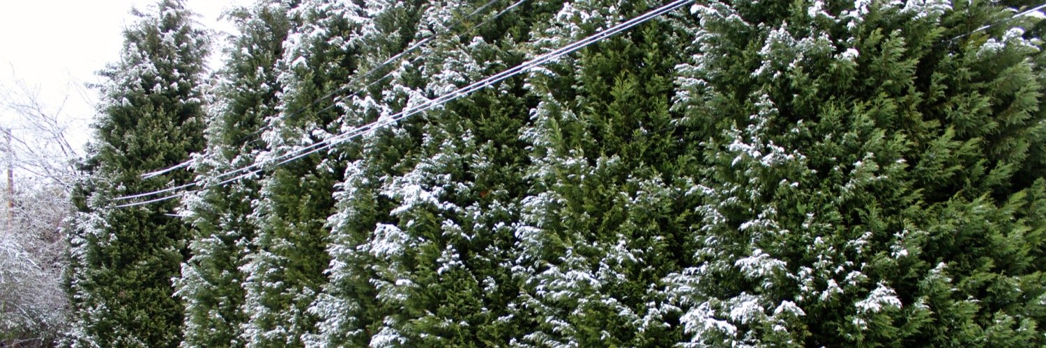 SteveInRealLife's profile banner image