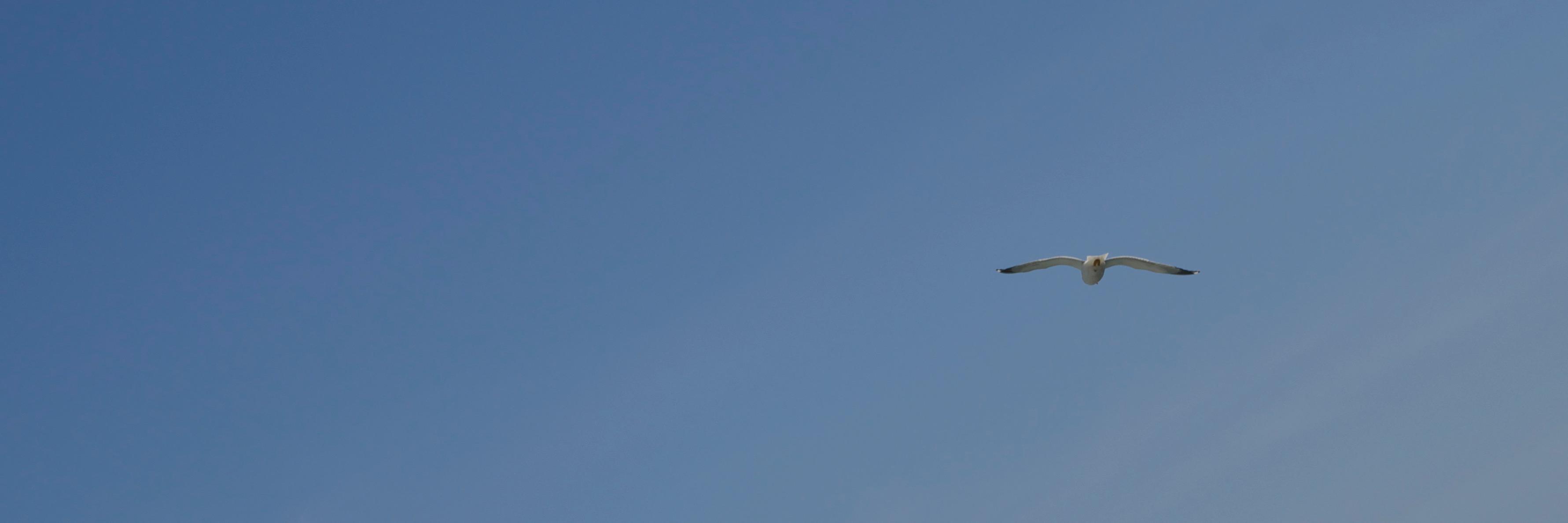 pilot34's profile banner image