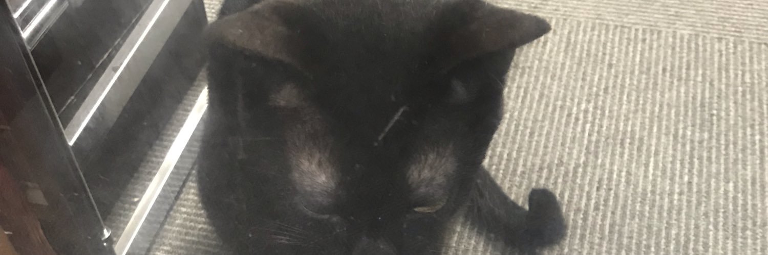 karon1015's profile banner image