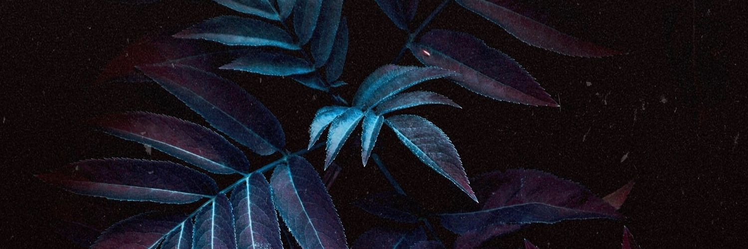 JustinGTP's profile banner image