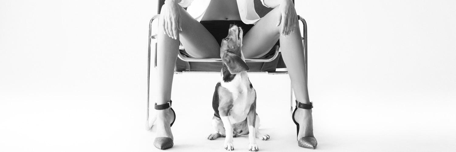 ModelsnMutts's profile banner image