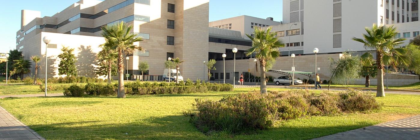 Rafaela Belmonte Maldonado banner