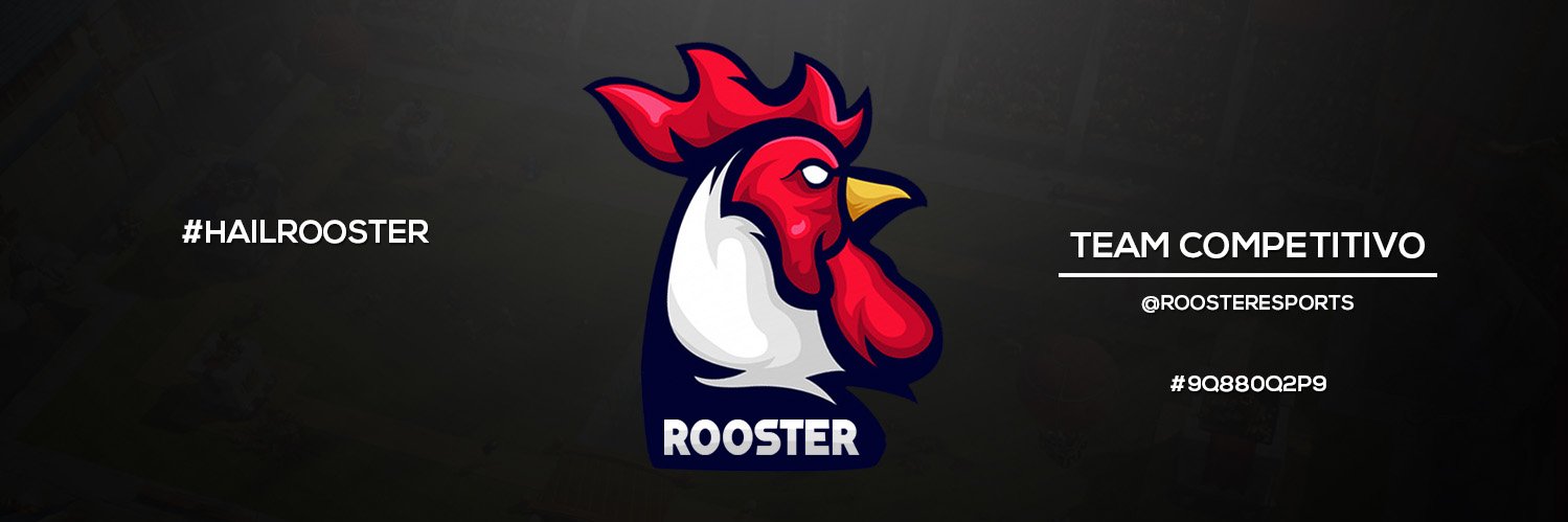 Rooster eSports banner