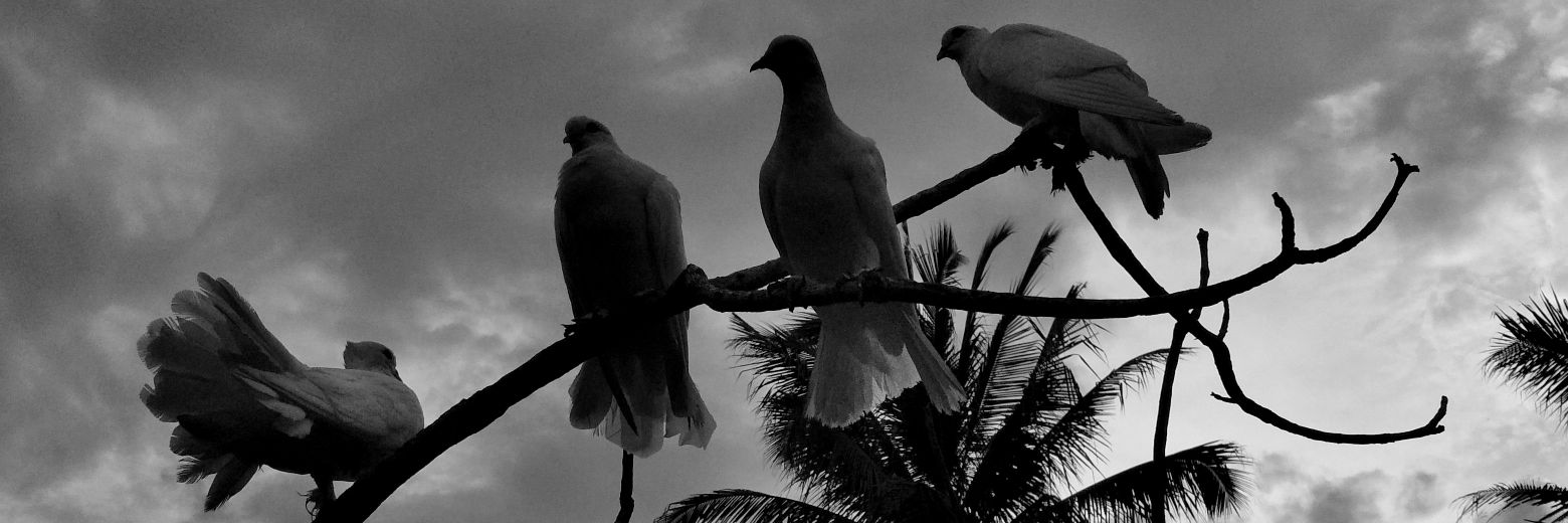 aldeoramadhan's profile banner image