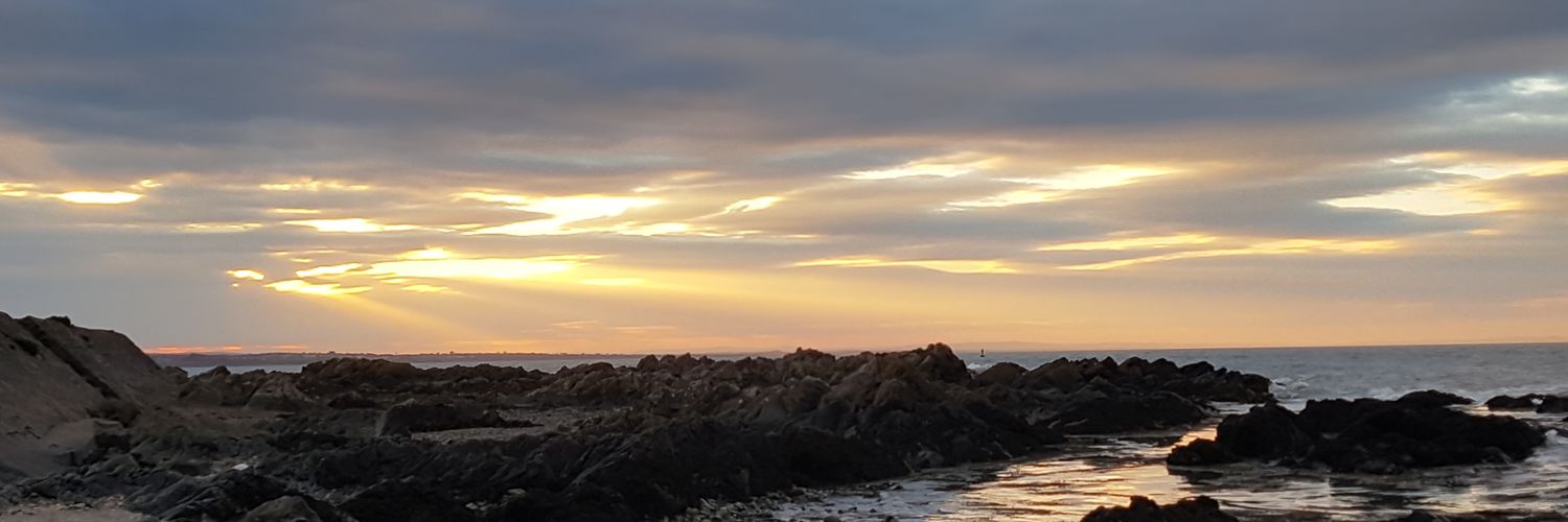 _Louise_Ryan_'s profile banner image