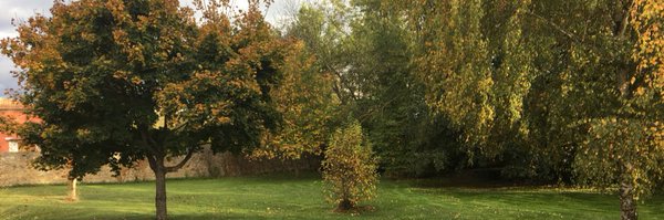 CatRouchy Profile Banner