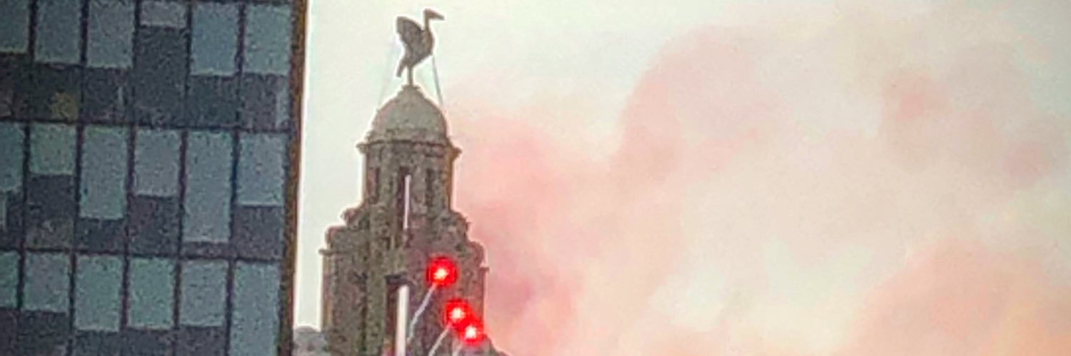 Fiwl2's profile banner image