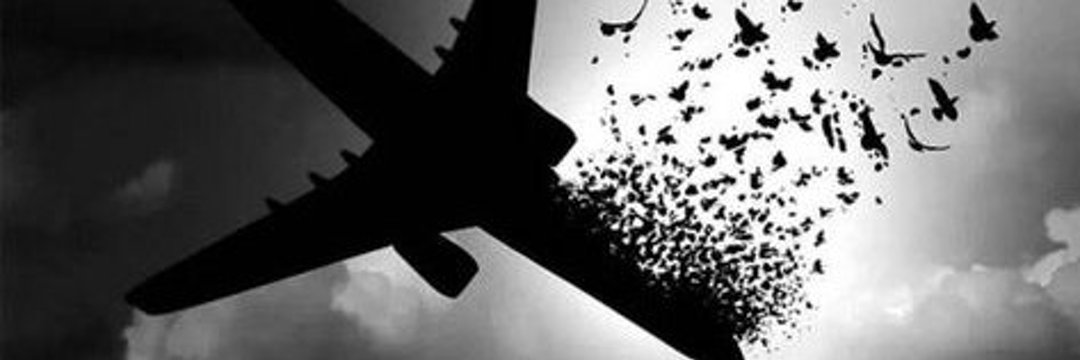 فیبی🇮🇷 banner