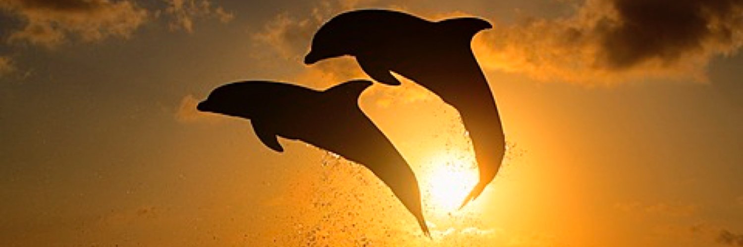 retoringger's profile banner image