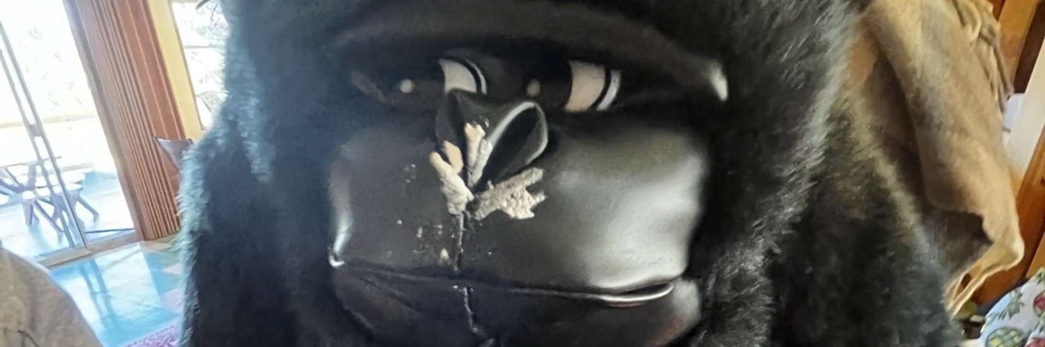 lilbuzz66's profile banner image