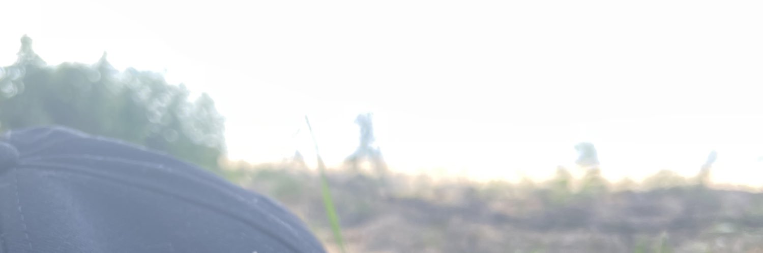 KeksdoseM's profile banner image