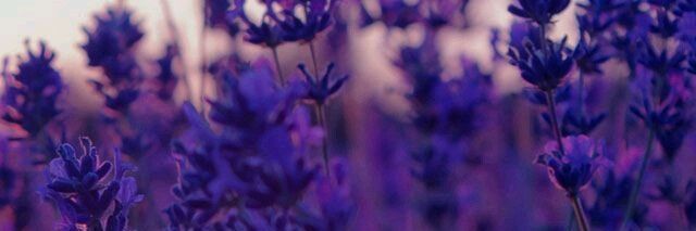 iam_all_mo's profile banner image