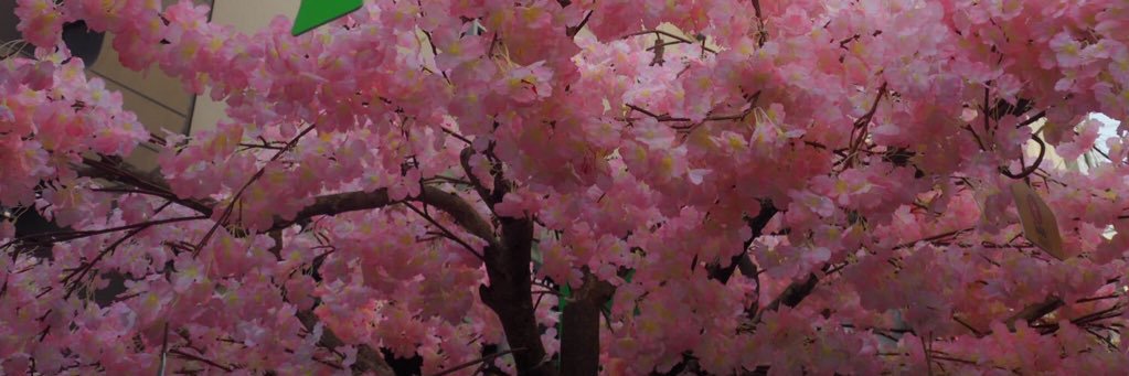 TixinBKK's profile banner image
