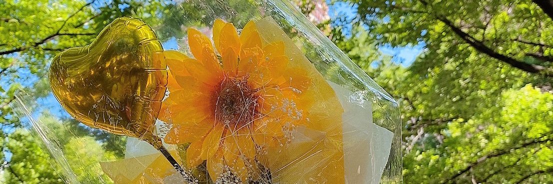 あ す か 🌻 banner