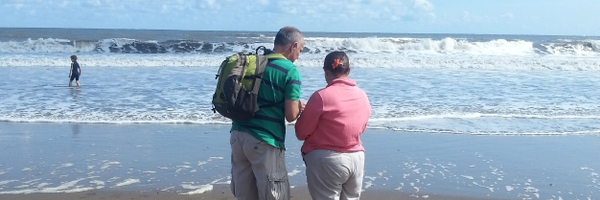 SteveRaw836 Profile Banner